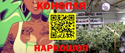 не бодяженный Владимир