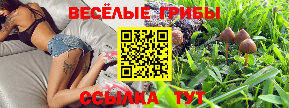 Псилоцибиновые грибы Cubensis  Вход с VPN  Вязьма 